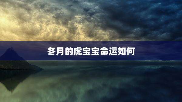 冬月的虎宝宝命运如何