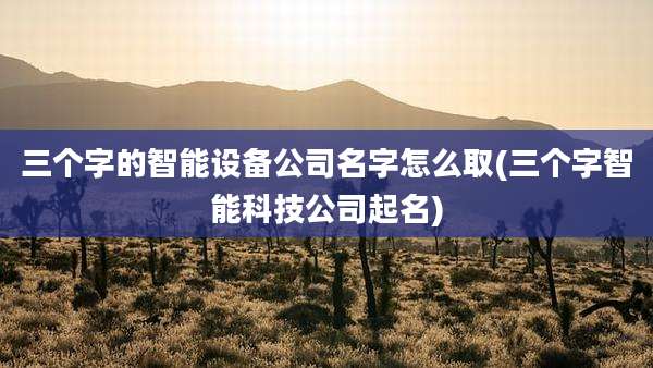 三个字的智能设备公司名字怎么取(三个字智能科技公司起名)
