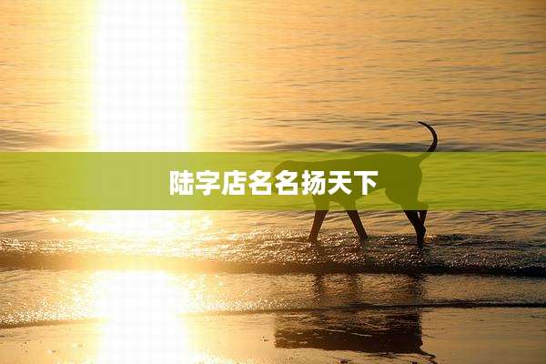 陆字店名名扬天下
