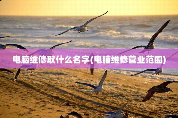 电脑维修取什么名字(电脑维修营业范围)
