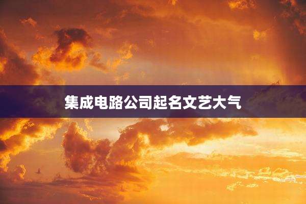 集成电路公司起名文艺大气