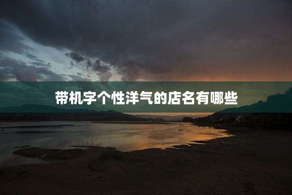 带机字个性洋气的店名有哪些
