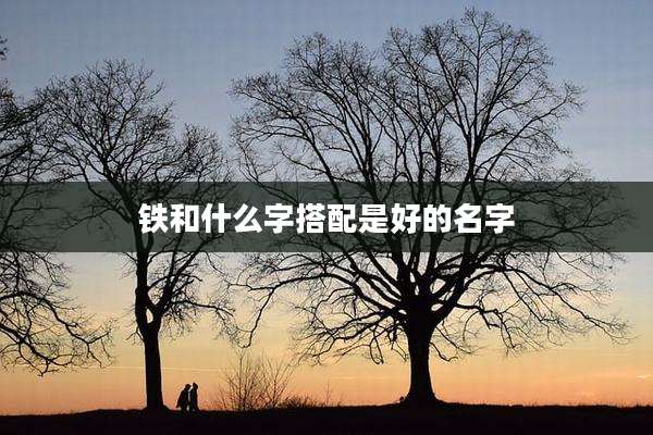 铁和什么字搭配是好的名字