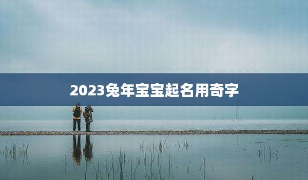 2023兔年宝宝起名用奇字