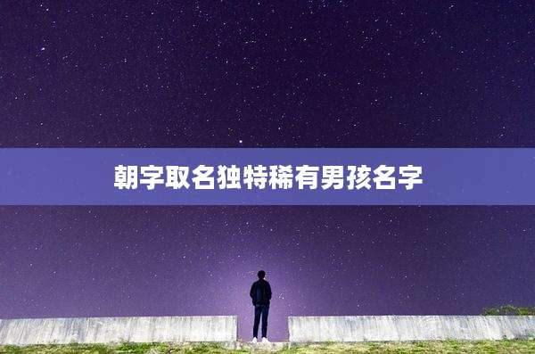 朝字取名独特稀有男孩名字
