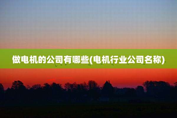 做电机的公司有哪些(电机行业公司名称)