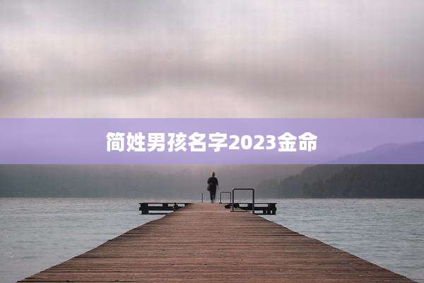 简姓男孩名字2023金命