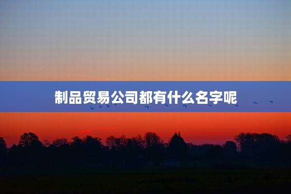 制品贸易公司都有什么名字呢