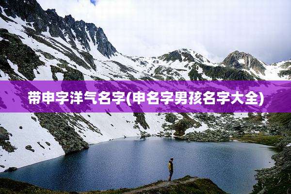 带申字洋气名字(申名字男孩名字大全)