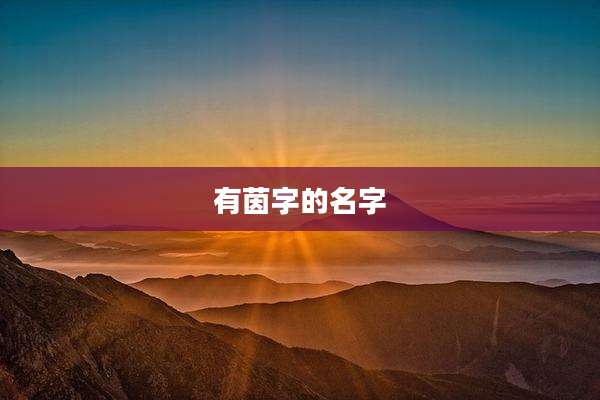 有茵字的名字