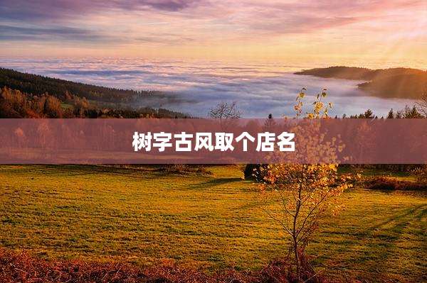 树字古风取个店名