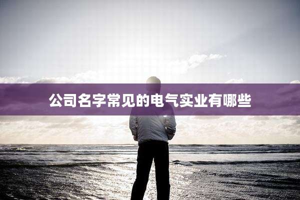 公司名字常见的电气实业有哪些