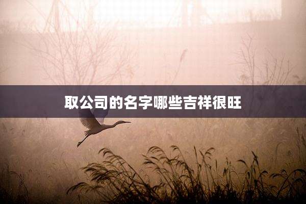 取公司的名字哪些吉祥很旺