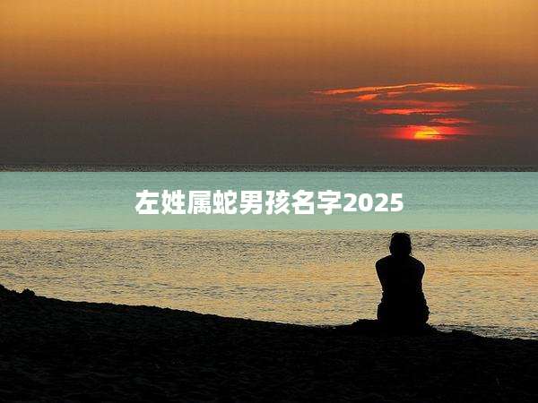 左姓属蛇男孩名字2025