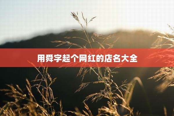 用舜字起个网红的店名大全