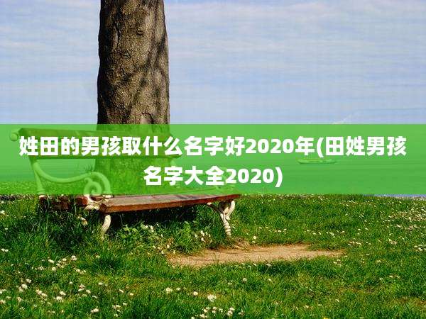姓田的男孩取什么名字好2020年(田姓男孩名字大全2020)