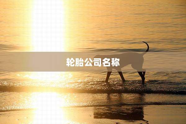 轮胎公司名称
