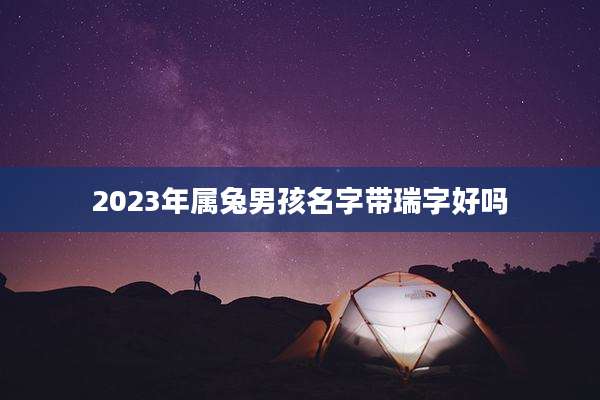 2023年属兔男孩名字带瑞字好吗