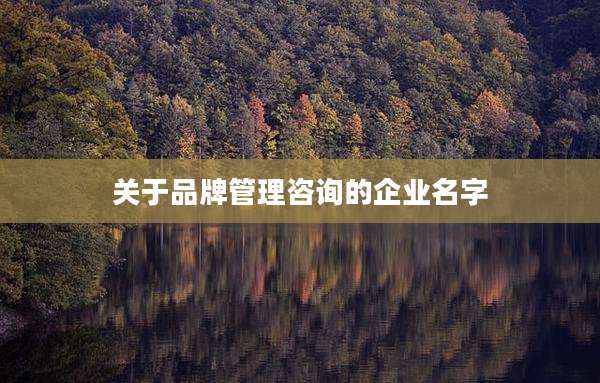 关于品牌管理咨询的企业名字