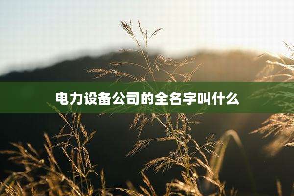 电力设备公司的全名字叫什么