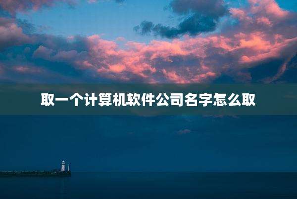 取一个计算机软件公司名字怎么取