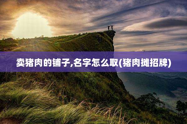 卖猪肉的铺子,名字怎么取(猪肉摊招牌)