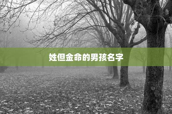 姓但金命的男孩名字