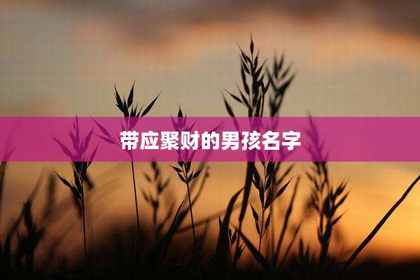 带应聚财的男孩名字