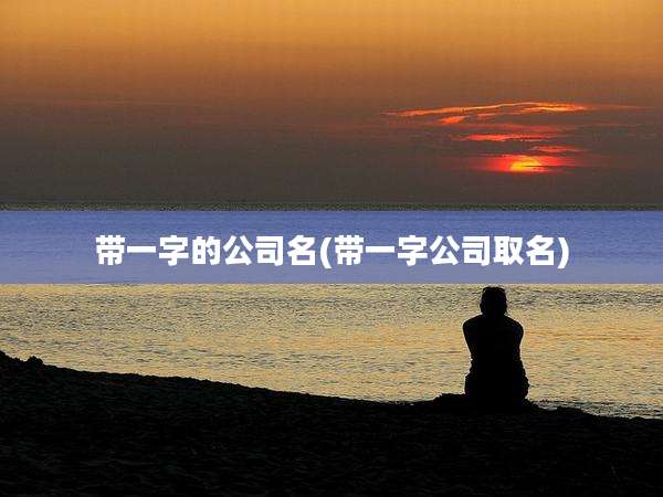 带一字的公司名(带一字公司取名)