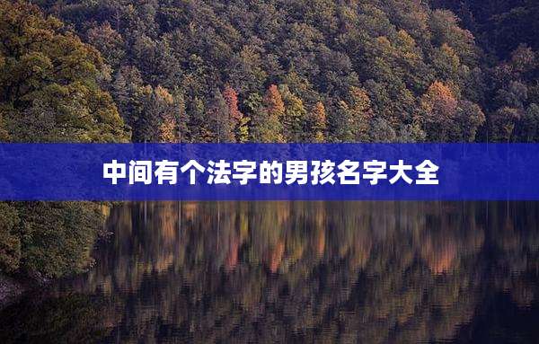 中间有个法字的男孩名字大全