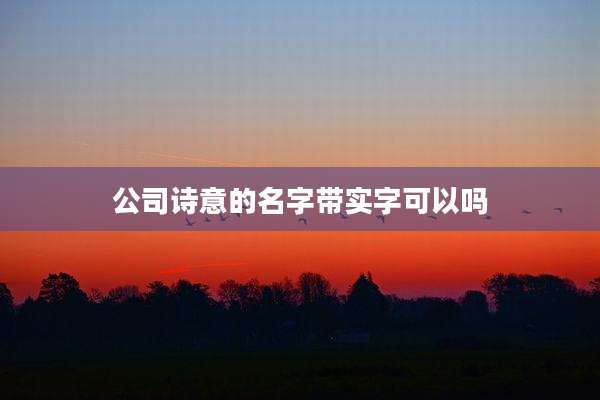 公司诗意的名字带实字可以吗