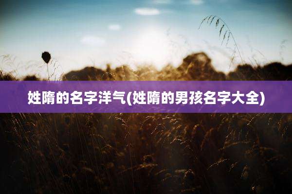 姓隋的名字洋气(姓隋的男孩名字大全)