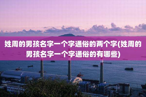 姓周的男孩名字一个字通俗的两个字(姓周的男孩名字一个字通俗的有哪些)