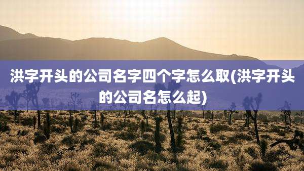 洪字开头的公司名字四个字怎么取(洪字开头的公司名怎么起)