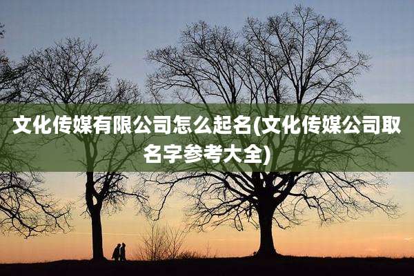 文化传媒有限公司怎么起名(文化传媒公司取名字参考大全)