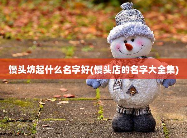 馒头坊起什么名字好(馒头店的名字大全集)
