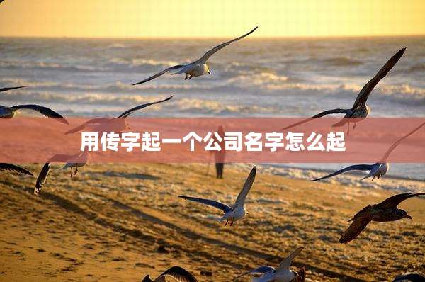 用传字起一个公司名字怎么起