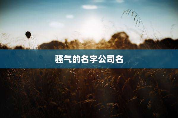 骚气的名字公司名