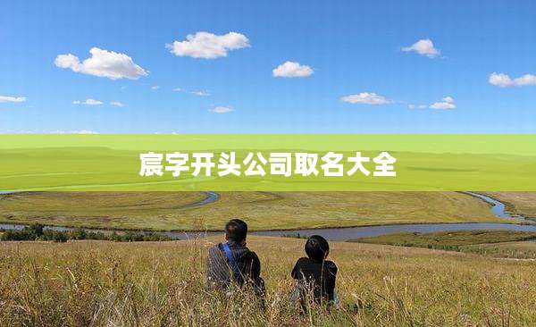 宸字开头公司取名大全
