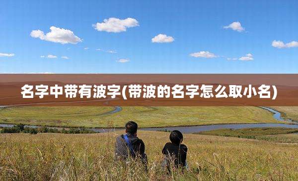 名字中带有波字(带波的名字怎么取小名)