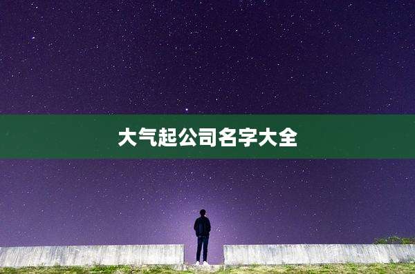 大气起公司名字大全