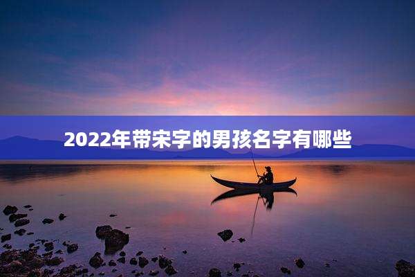 2022年带宋字的男孩名字有哪些