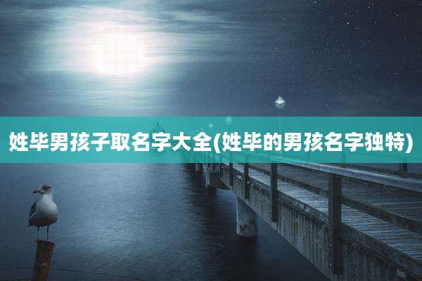 姓毕男孩子取名字大全(姓毕的男孩名字独特)