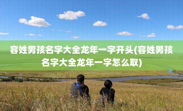 容姓男孩名字大全龙年一字开头(容姓男孩名字大全龙年一字怎么取)