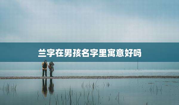 兰字在男孩名字里寓意好吗