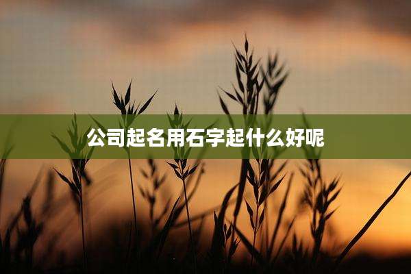 公司起名用石字起什么好呢