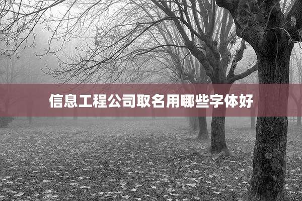 信息工程公司取名用哪些字体好