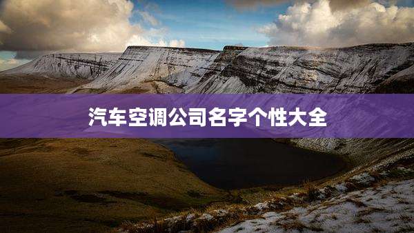 汽车空调公司名字个性大全