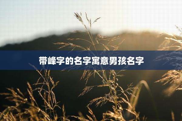 带峰字的名字寓意男孩名字