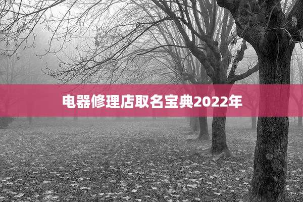 电器修理店取名宝典2022年